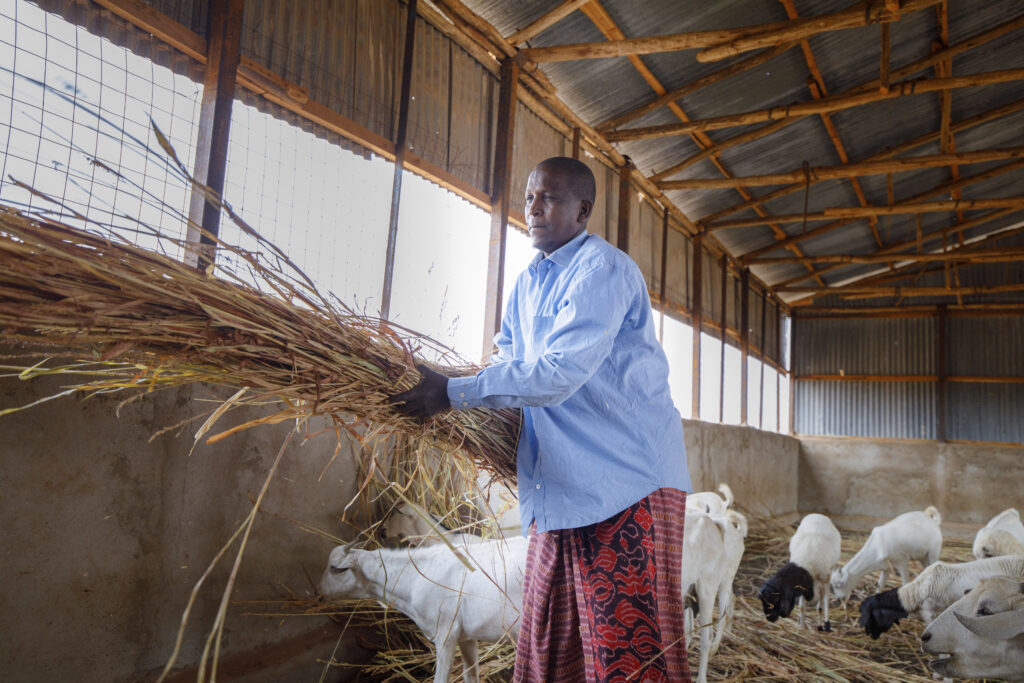 生计和经济融合
