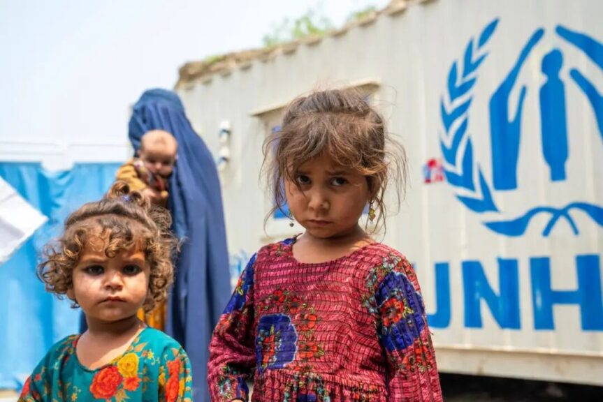 项目进展丨28万阿富汗难民面临人道危机