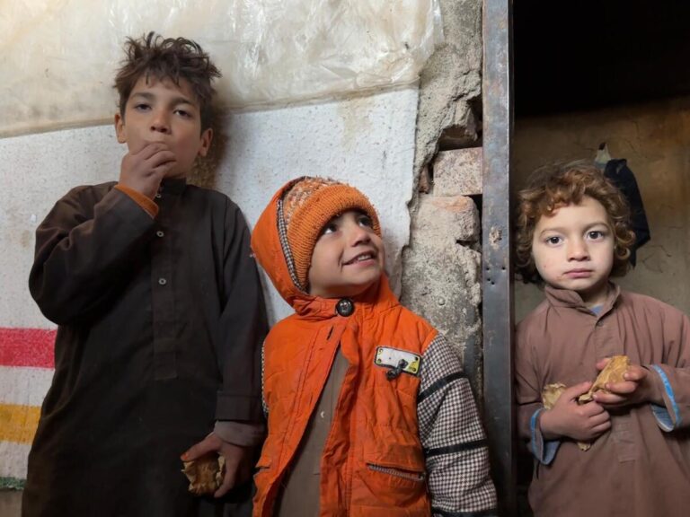 项目进展丨170万人获得援助，覆盖阿富汗34省